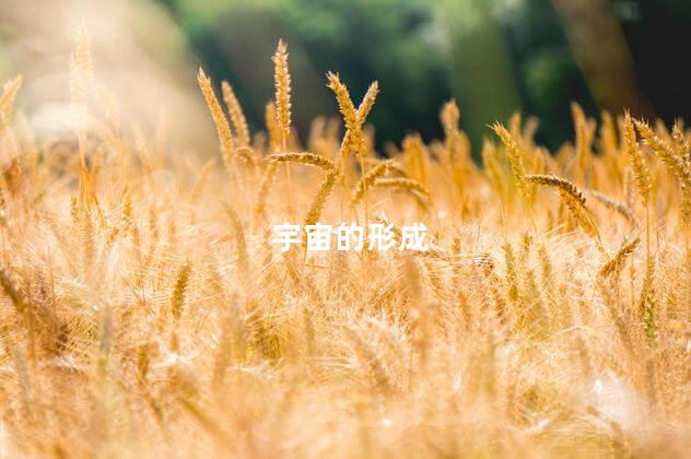 宇宙的形成