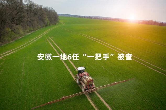 安徽一地6任“一把手”被查