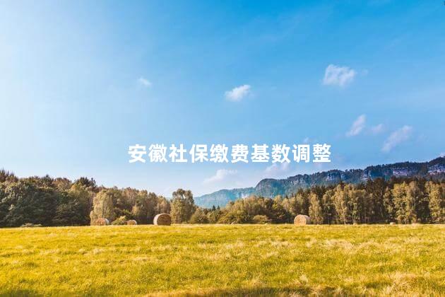 安徽社保缴费基数调整