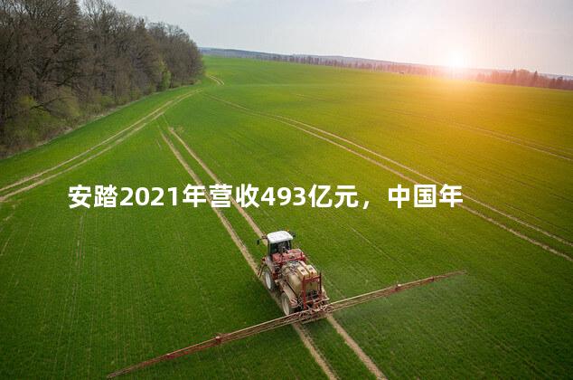 安踏2021年营收493亿元，中国年轻人不追求阿迪耐克了吗？