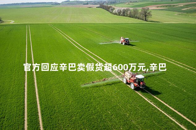 官方回应辛巴卖假货超600万元,辛巴卖假货不犯法吗