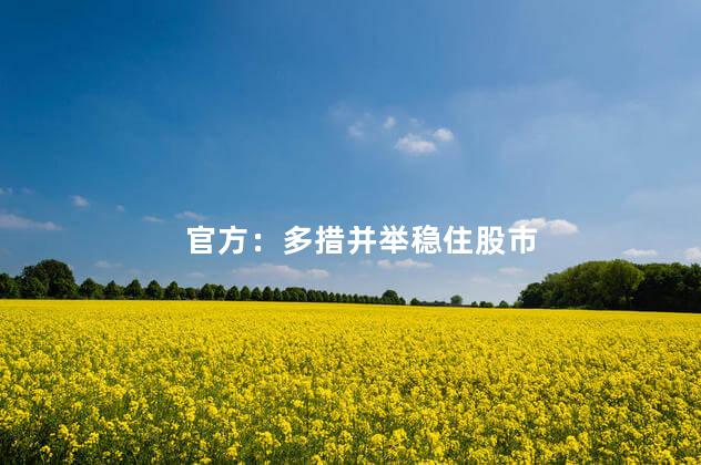 官方：多措并举稳住股市