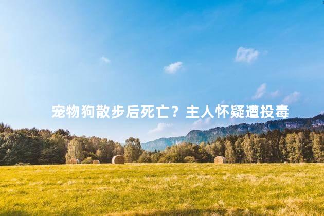 宠物狗散步后死亡？主人怀疑遭投毒