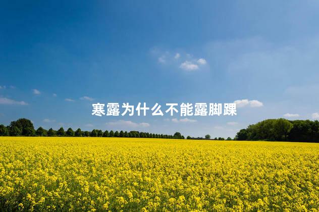 寒露为什么不能露脚踝