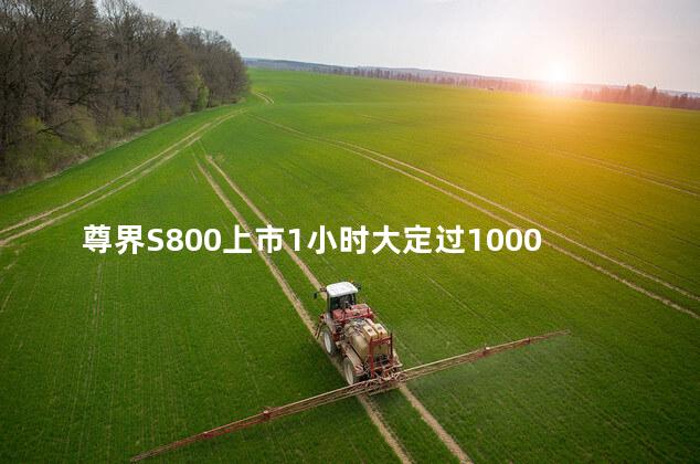尊界S800上市1小时大定过1000辆