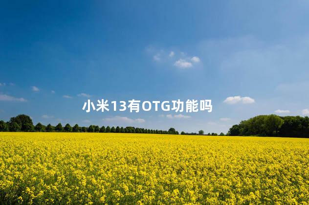 小米13有OTG功能吗