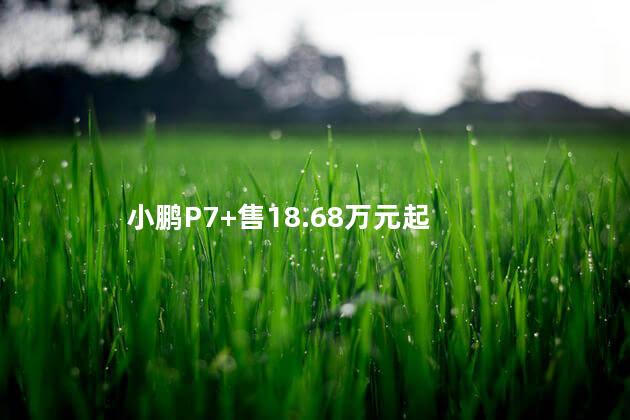 小鹏P7+售18.68万元起