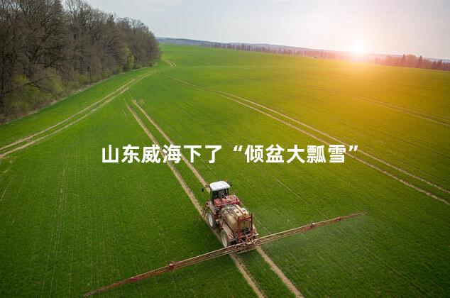 山东威海下了“倾盆大瓢雪”