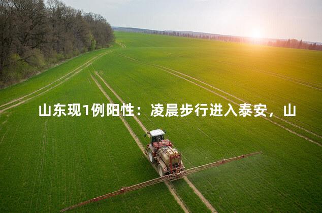 山东现1例阳性：凌晨步行进入泰安，山东疫情最新消息