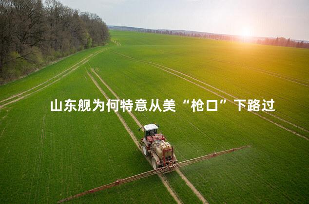 山东舰为何特意从美“枪口”下路过