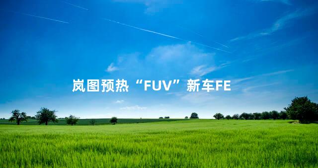 岚图预热“FUV”新车FE