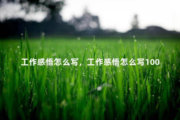工作感悟怎么写，工作感悟怎么写100字左右