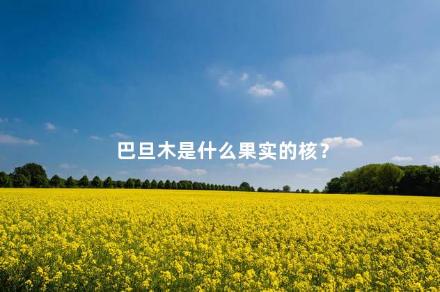 巴旦木是什么果实的核？