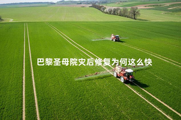 巴黎圣母院灾后修复为何这么快