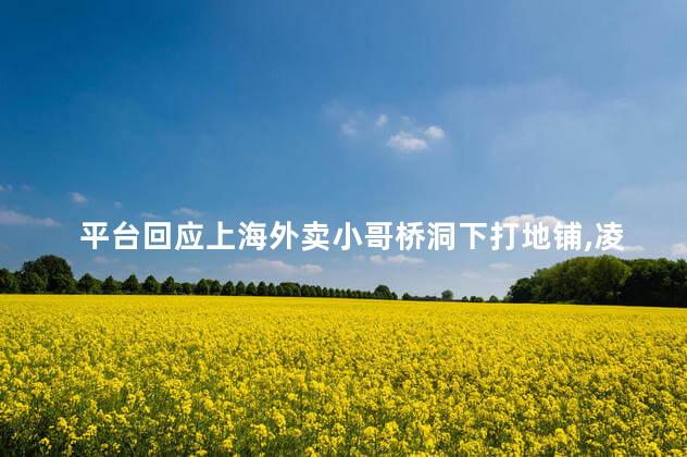 平台回应上海外卖小哥桥洞下打地铺,凌晨外卖小哥坠入深坑