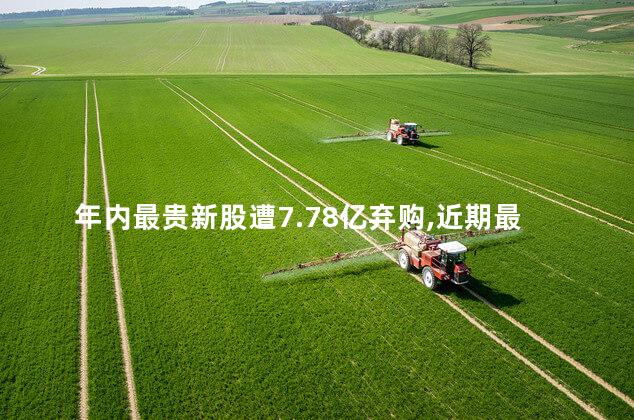 年内最贵新股遭7.78亿弃购,近期最贵新股