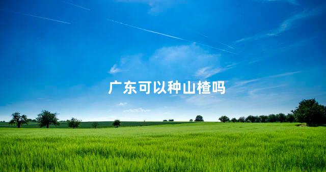 广东可以种山楂吗