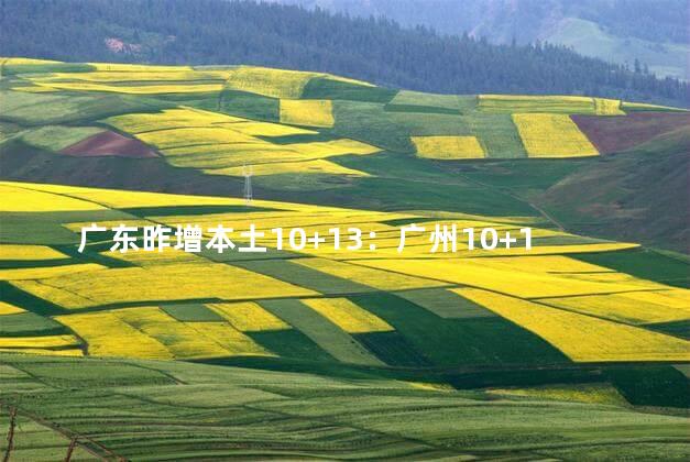 广东昨增本土10+13：广州10+1