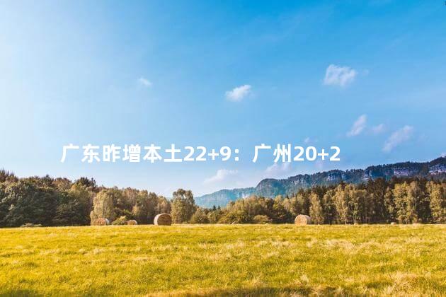 广东昨增本土22+9：广州20+2