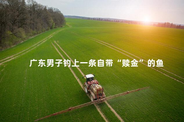 广东男子钓上一条自带“赎金”的鱼