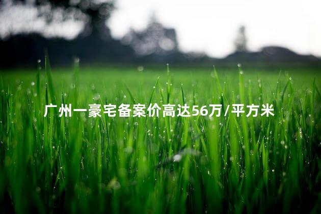 广州一豪宅备案价高达56万/平方米