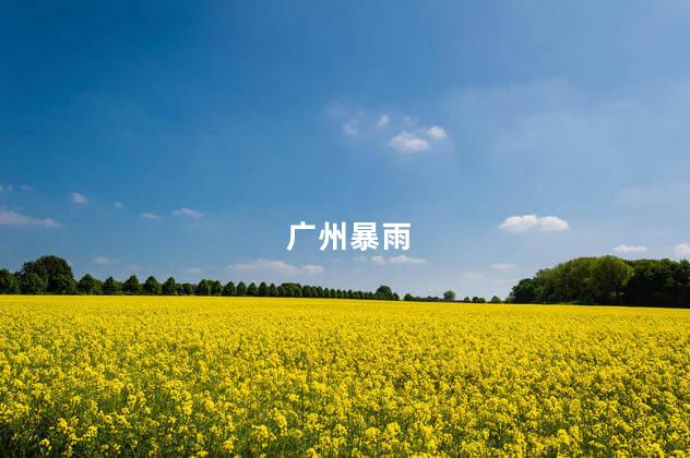 广州暴雨