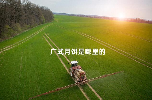 广式月饼是哪里的