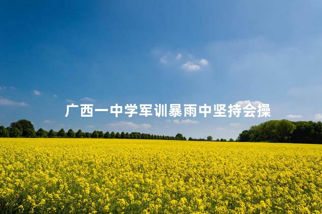 广西一中学军训暴雨中坚持会操