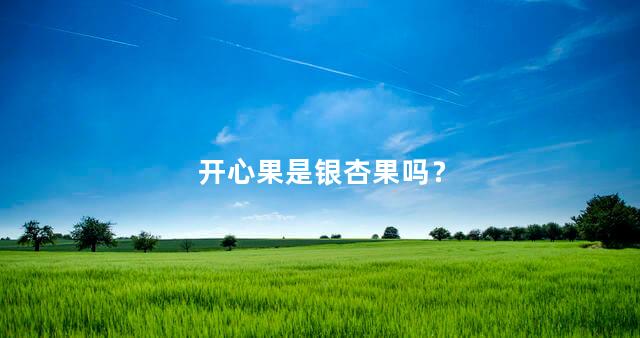 开心果是银杏果吗？