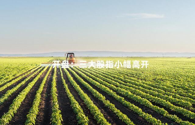 开盘：三大股指小幅高开