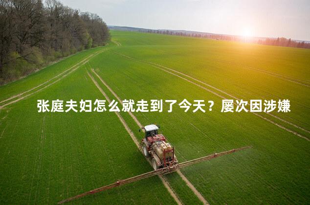 张庭夫妇怎么就走到了今天？屡次因涉嫌传销被质疑，为什么说张庭夫妇做传销