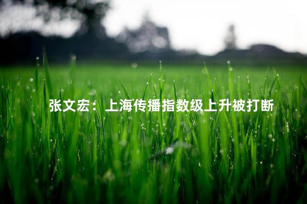 张文宏：上海传播指数级上升被打断