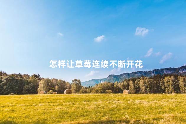 怎样让草莓连续不断开花 草莓怎样控旺又不影响生长