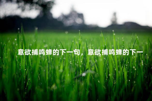 意欲捕鸣蝉的下一句，意欲捕鸣蝉的下一句诗是什么