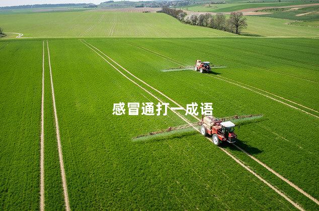 感冒通打一成语