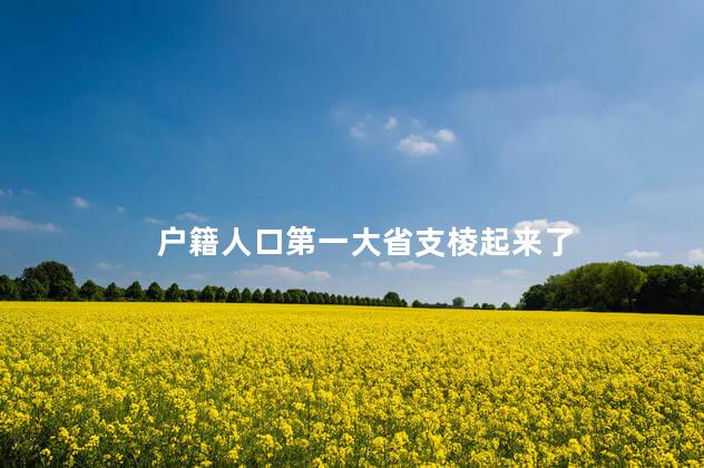 户籍人口第一大省支棱起来了
