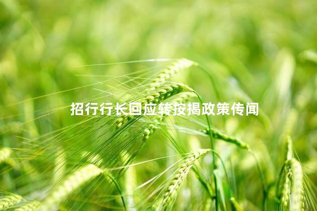 招行行长回应转按揭政策传闻