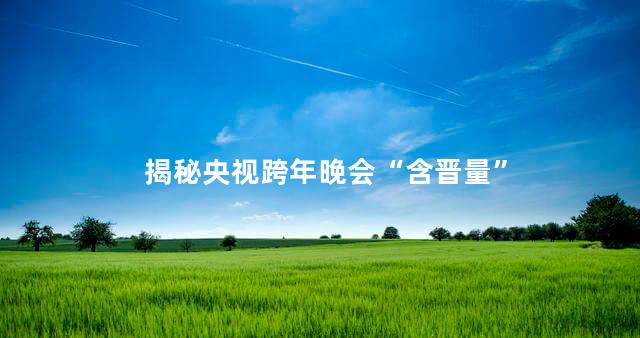 揭秘央视跨年晚会“含晋量”