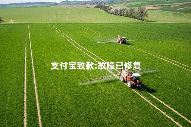 支付宝致歉:故障已修复