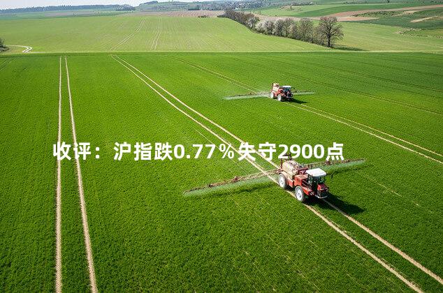 收评：沪指跌0.77％失守2900点