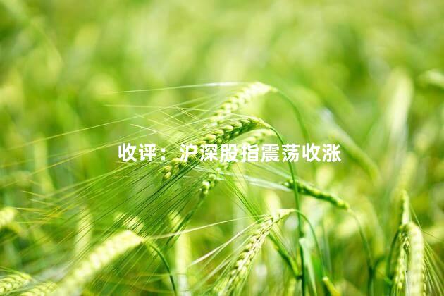 收评：沪深股指震荡收涨