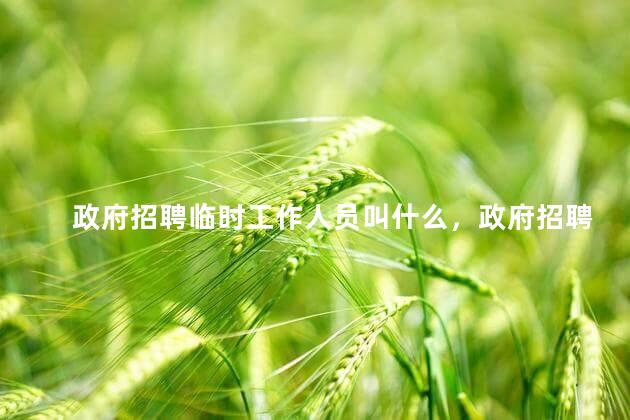 政府招聘临时工作人员叫什么，政府招聘临时人员可以做多久