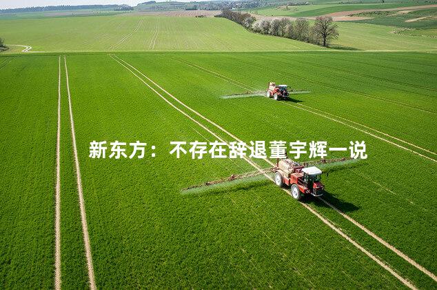 新东方：不存在辞退董宇辉一说