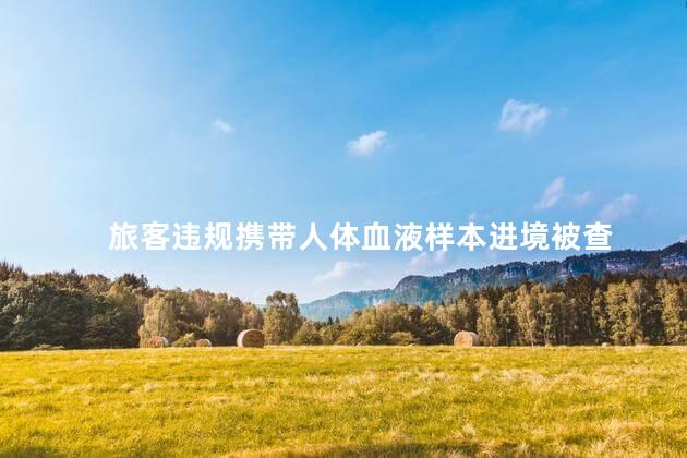 旅客违规携带人体血液样本进境被查