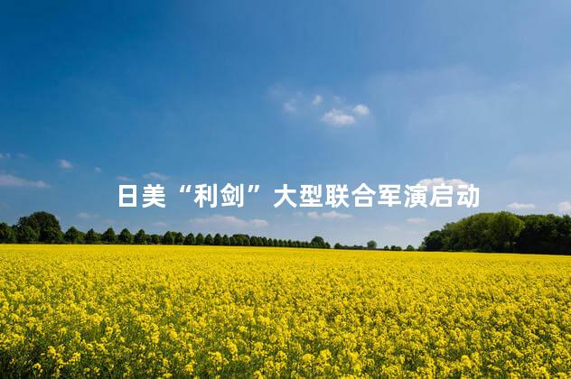 日美“利剑”大型联合军演启动
