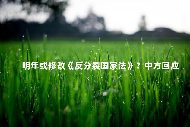 明年或修改《反分裂国家法》？中方回应