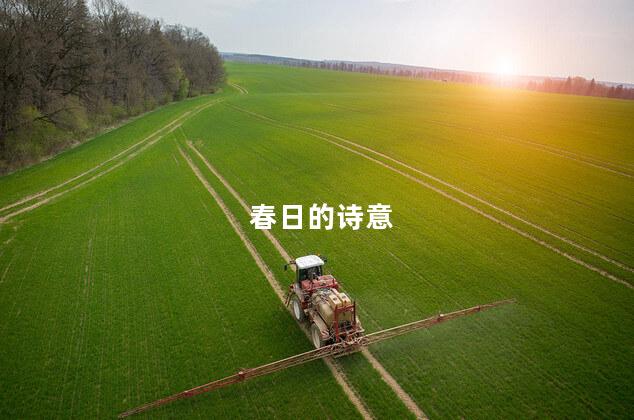 春日的诗意