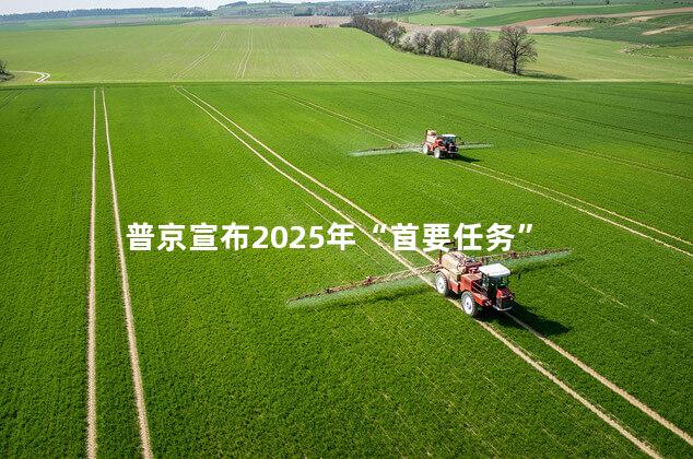 普京宣布2025年“首要任务”