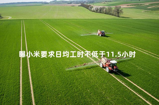 曝小米要求日均工时不低于11.5小时