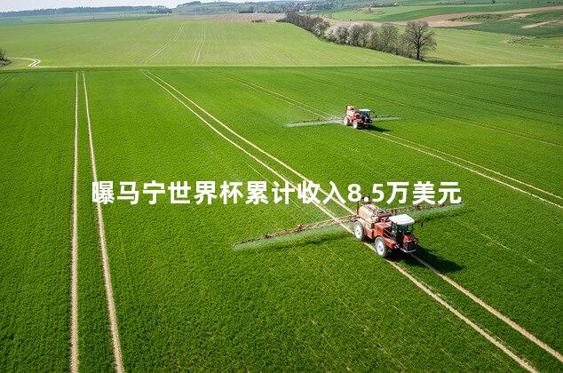 曝马宁世界杯累计收入8.5万美元